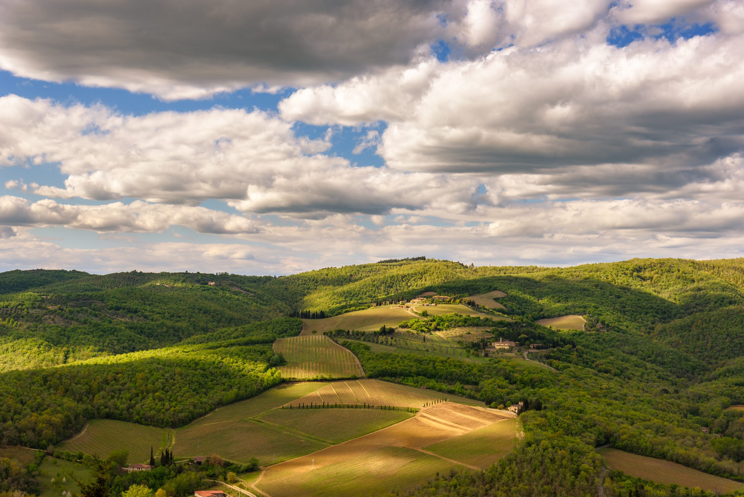 View of the countryside near the famous town of Radda in Chianti